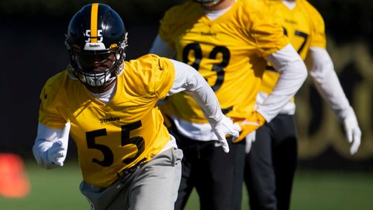 Steelers need Bush to make the jump taken on the South Side (Steelers)